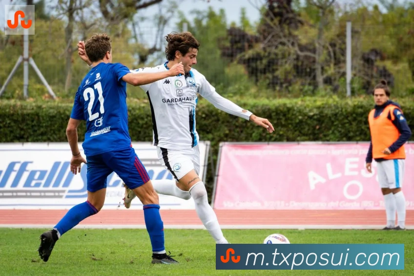 爱游戏ayx平台生态图